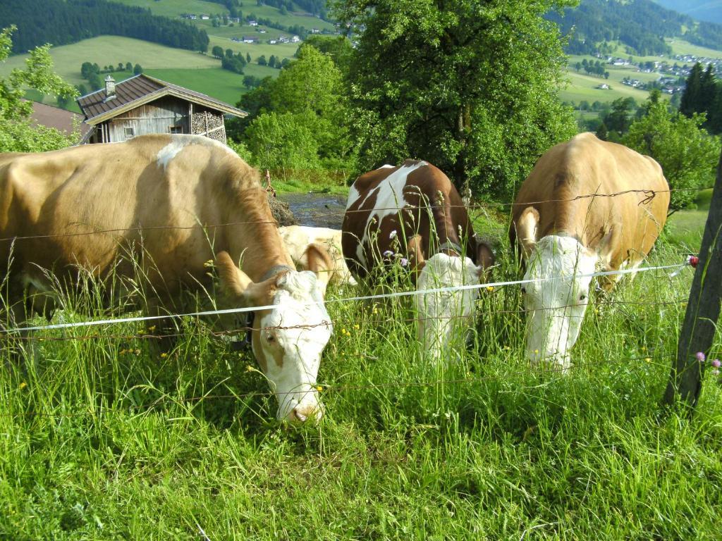 Bauernhof Hundbichl Villa บริกเซินอิมทาเล ภายนอก รูปภาพ